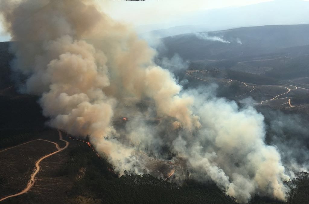 Working on Fire works tirelessly to contain Sabie/Graskop wildfire – whatever it takes