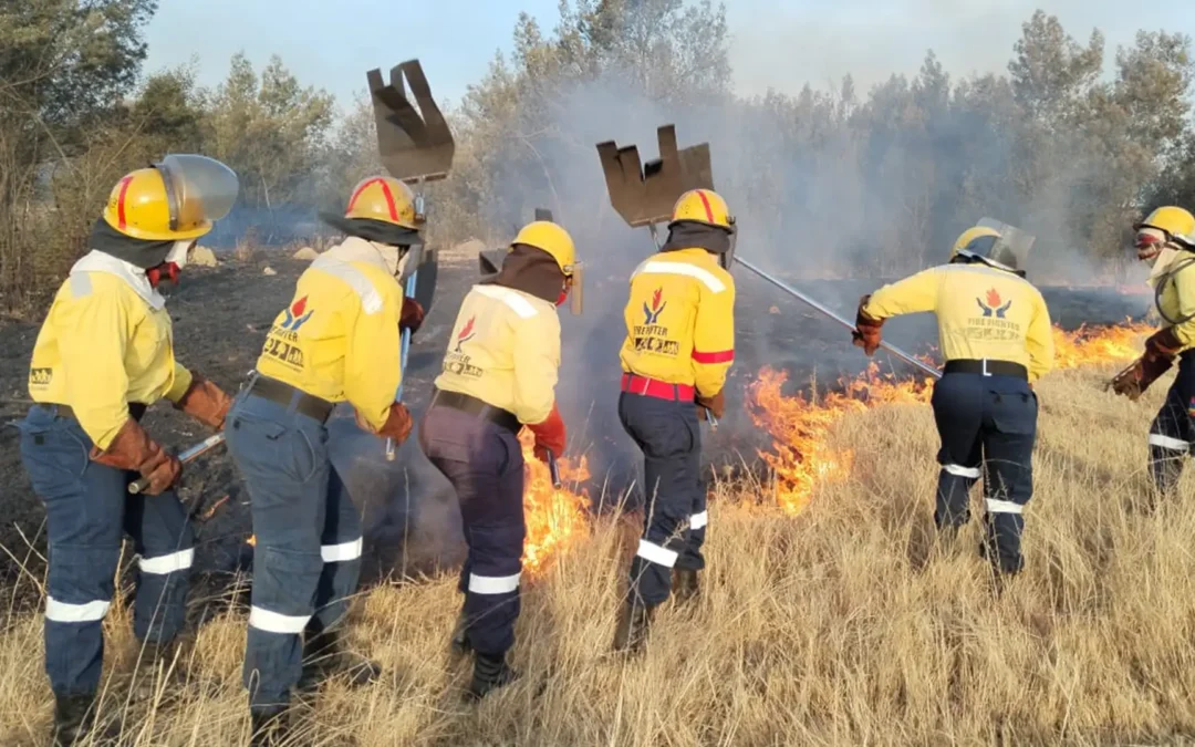 The Working on Fire-Kishugu Joint Venture Faces a Challenging Winter Fire Season